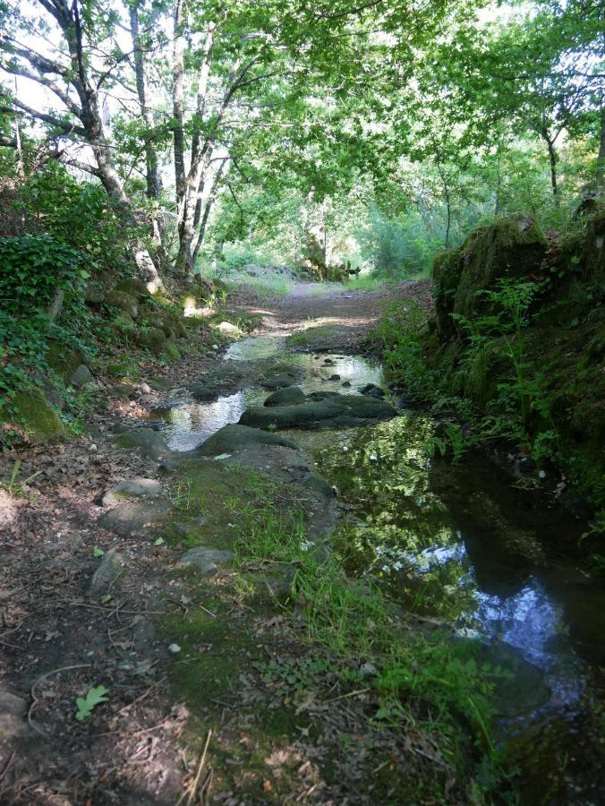 Quinta Monteluz Lägenhet Viseu Exteriör bild