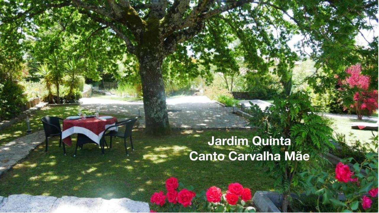 Quinta Monteluz Lägenhet Viseu Exteriör bild