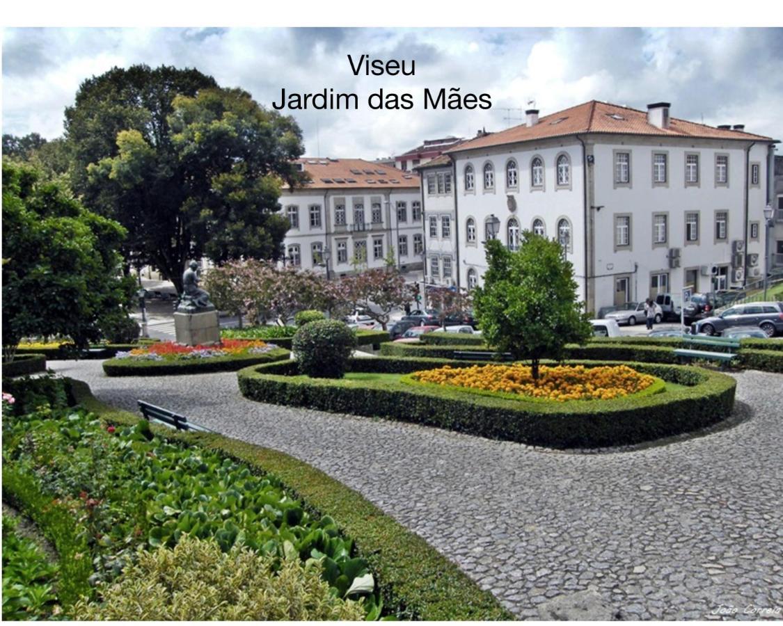 Quinta Monteluz Lägenhet Viseu Exteriör bild